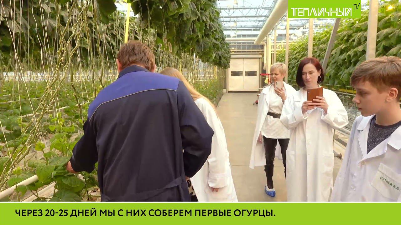 За опытом: Наставники технопарка "Кванториум" пришли в "Тепличный" смотреть онлайн