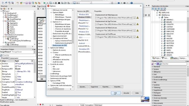 Découvrez FireDAC pour FMX (Webinar) смотреть онлайн