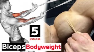 ПОЛНОЕ УПРАЖНЕНИЕ НА БИЦЕПС С СОБСТВЕННЫМ ВЕСОМ ДОМА