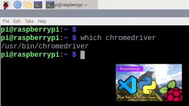 How to use Selenium Automates Browsers + Chrome Driver on Raspberry Pi смотреть онлайн