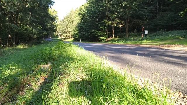 Mercedes CLK Kompressor Sound