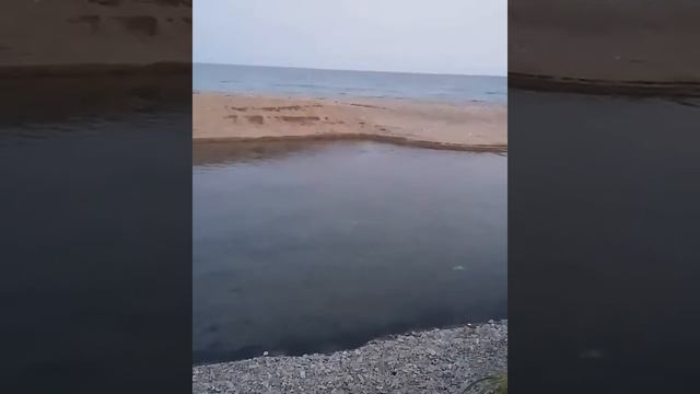 Нерест Кеты в Приморском крае. Река Лидовка. смотреть онлайн