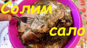 Солим сало в рассоле, простой способ.