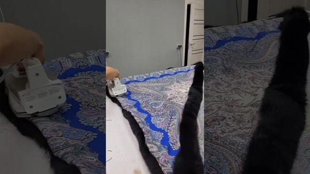 Платки всегда в моде! смотреть онлайн