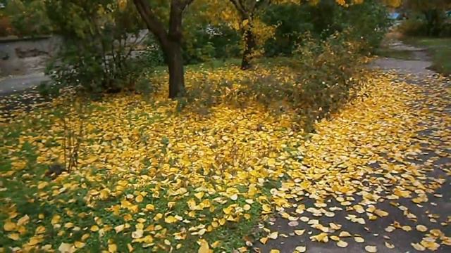Последние дни осени смотреть онлайн