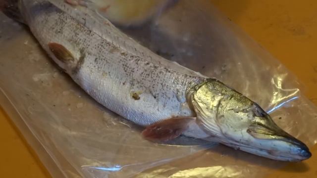 разделка щуки смотреть онлайн
