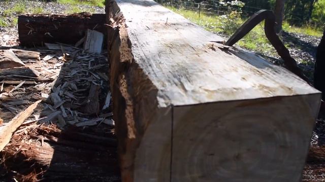 Hand hewing Australian spotted gum смотреть онлайн