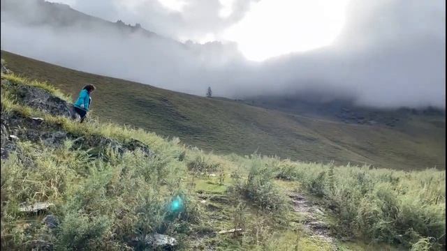 Алтай Altai Travel AV Чуйский тракт. - Чемал - Онгудай - Акташ - Курай и тд. (часть 2) смотреть онлайн