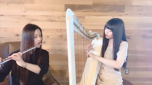 FULLMETAL ALCHEMIST bgm BROTHERS (Harp and flute cover) смотреть онлайн