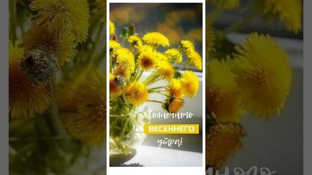 Открытка с добром утром #shorts смотреть онлайн