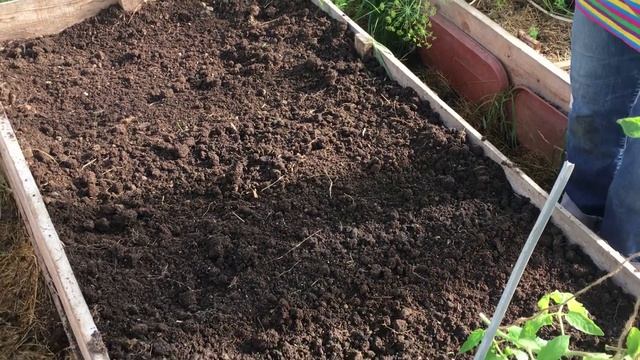 Правильная посадка бобов в сентябре 2020.#1 смотреть онлайн