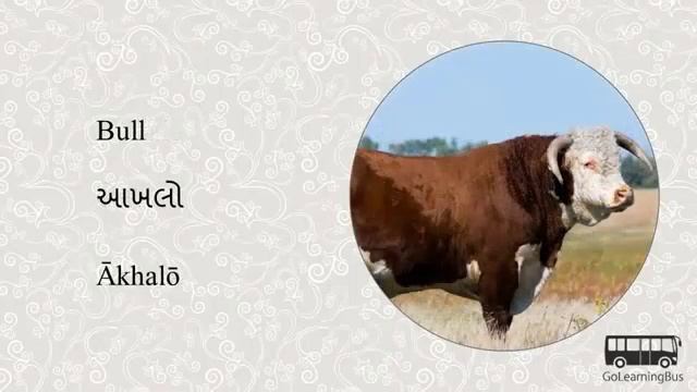 изучение гуджарати.  MyGuide. Learn Gujarati (гурмукхи)