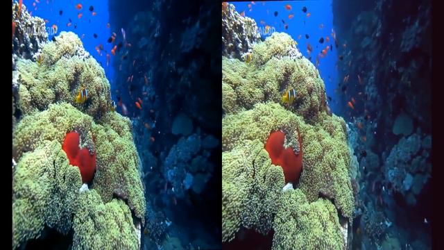 VR 3D Extreme Ocean World Compilation 3D Side by Side SBS VR Active Passive смотреть онлайн