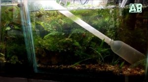 ПОДМЕНА ВОДЫ В АКВАРИУМЕ ИЗ ПОД КРАНА! КАК, СКОЛЬКО,  ЧТО ЗА ЧЕМ И ПОЧЕМУ!