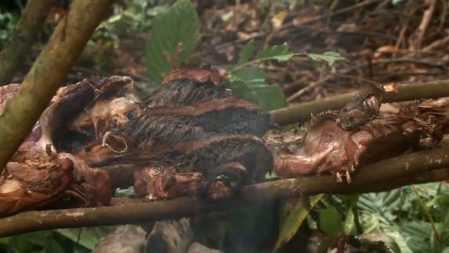 Welcome to the Jungle: Adventures in Bolivia Part 3 | S5E07 | MeatEater смотреть онлайн