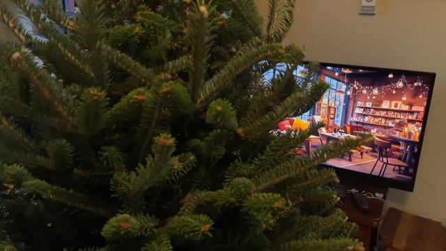 ВЛОГМАС 🎄✨ покупаем ёлку, лучшая книга декабря смотреть онлайн