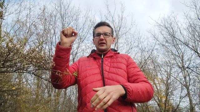 благодать и мир вам преумножатся. смотреть онлайн