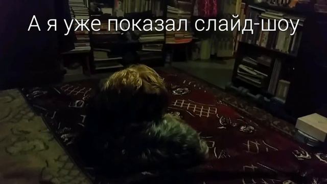 Ита оно!-животное собака смотреть онлайн