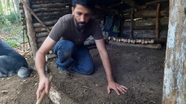 Building A Bushcraft Big Shelter For SURVIVAL In The Wild 3 Days. Mushroom Cooking. Camping Asmr