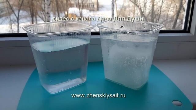 Правильная ВОДА для полива рассады☝ смотреть онлайн