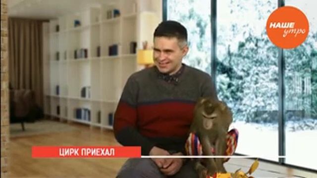 Цирк приехал смотреть онлайн