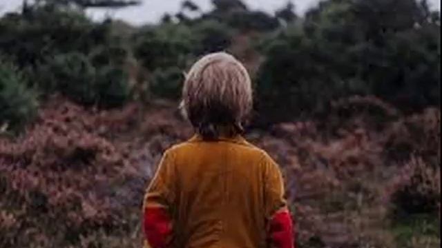 Ветки да колючки+ смотреть онлайн