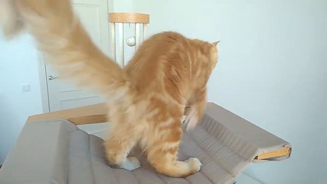 Хипстер смотреть онлайн