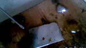 Применение сосновой смолы