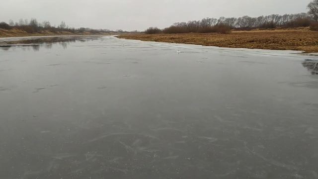 Ловля на зимнюю жерлицу по первому льду в Рязанской области. Оз.Лакаш, оз.Шелест, затон Красный Хол смотреть онлайн