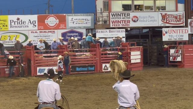 БЫК напал на людей 