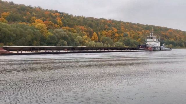 Рыбная Феерия