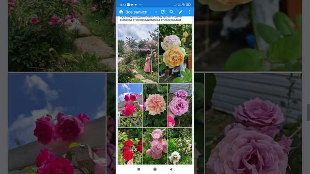 Очень быстро оформляем рабочую страничку вконтакте
