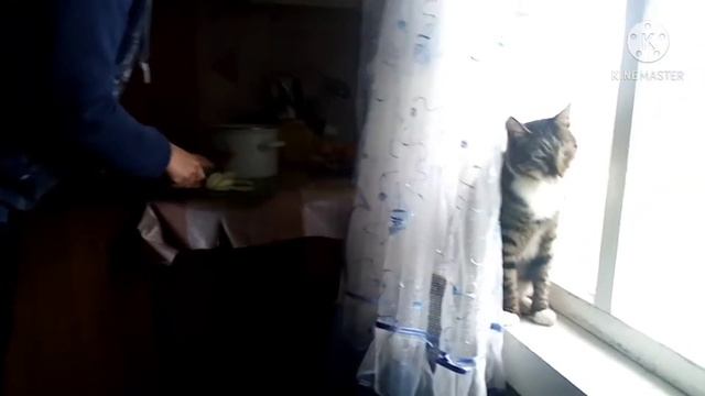 Кухня по деревенски. Рыбий суп + пюрешка?