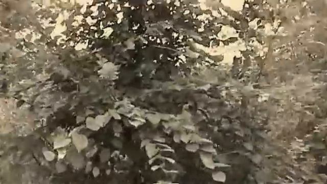 osen ddt смотреть онлайн