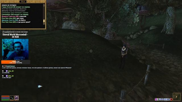 Стрим Morrowind Online ► Eternal World. Часть 18 смотреть онлайн