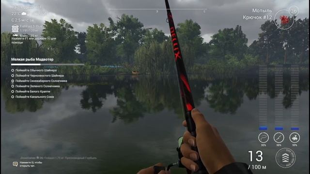 Fishing Planet. Река Мадвотер. Мелкая рыба Мадвотер. смотреть онлайн