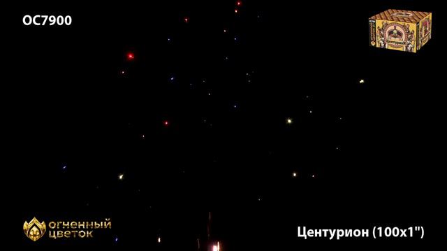 OC7900 Фейерверк «Центурион» 100 - 1