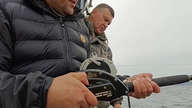 РЫБАЛКА В БАРЕНЦЕВОМ МОРЕ Туры к китам Кольский залив. смотреть онлайн