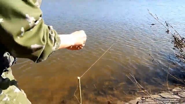 Классическая закидушка(донка) просто и эффективно