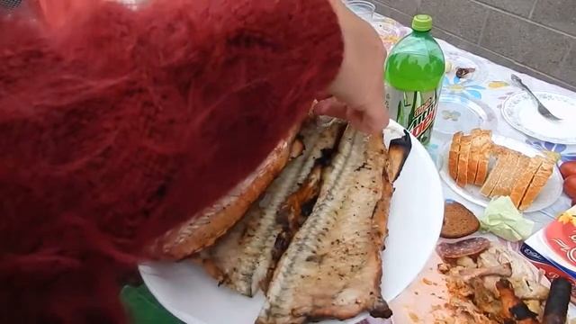 АМЕРИКА #151 осетрина первой свежести из Миссури смотреть онлайн