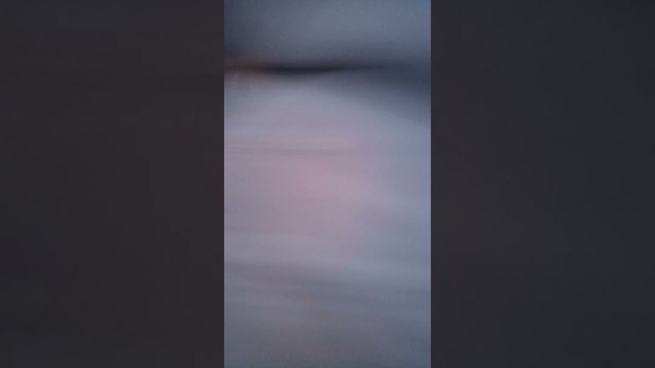 Амур и толстолоб