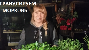 Гранулируем морковь.