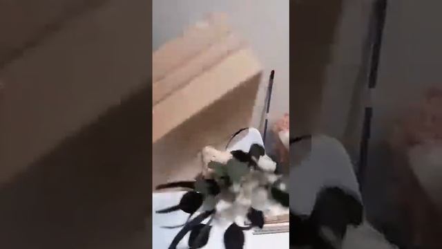 Подготовка к транспортировке смотреть онлайн