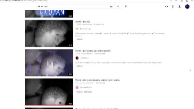 ЕЖИК ЧИХНУЛ - КАК ПОЯВИЛСЯ МЕМ? смотреть онлайн