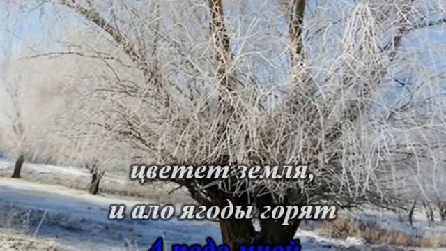 На белом покрывале января (КАРАОКЕ)