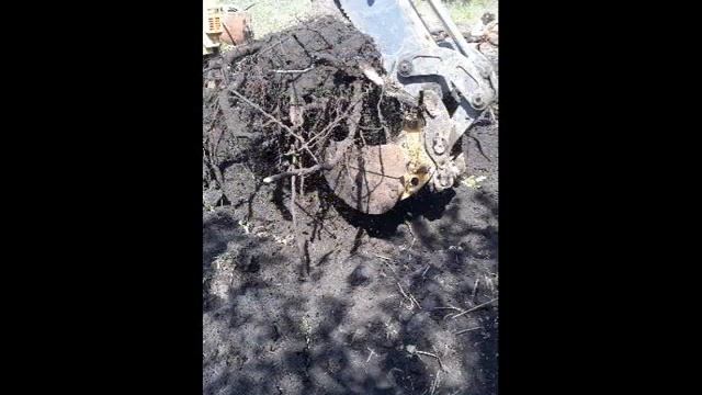 Расчистить участок /Забор под ключ/ Снести старый дом / Спилить деревья