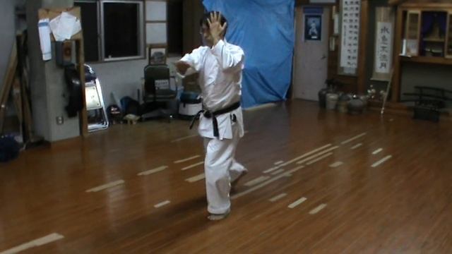 Shohei no kata Uechi ryu Shohei ryu / Chatan dojo Sensei Kiyuna Susumu 7 dan Uechi ryu Karate смотреть онлайн