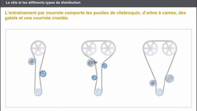 Les différents types de distribution et le rôle de distribution смотреть онлайн