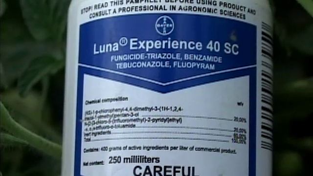 Agronomist Michael Baboolal. Luna Experience Fungicide