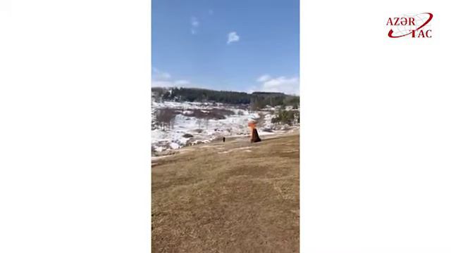 Первый вице-президент Мехрибан Алиева поздравила азербайджанский народ с Новруз байрамы смотреть онлайн